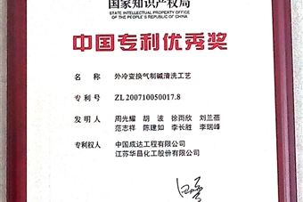 中國(guó)專利優(yōu)秀獎(jiǎng)